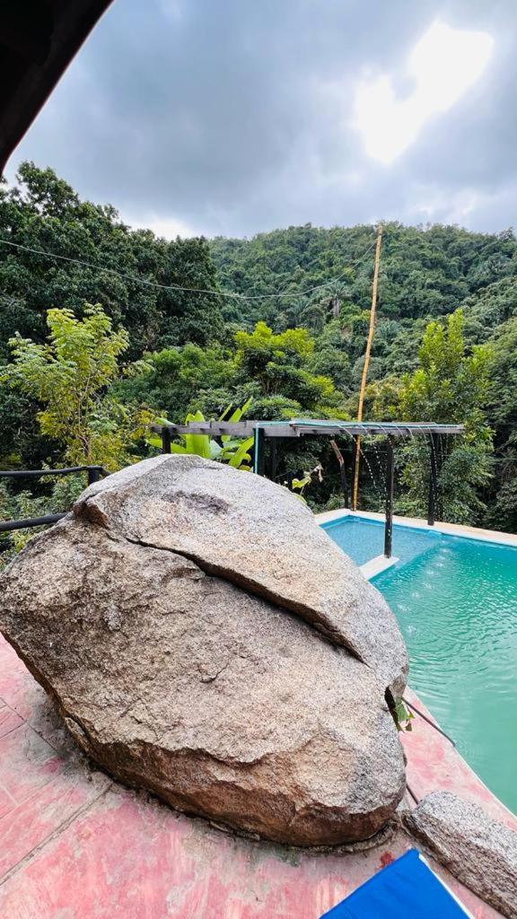 Minca Cabana La Roca サンタ・マルタ エクステリア 写真