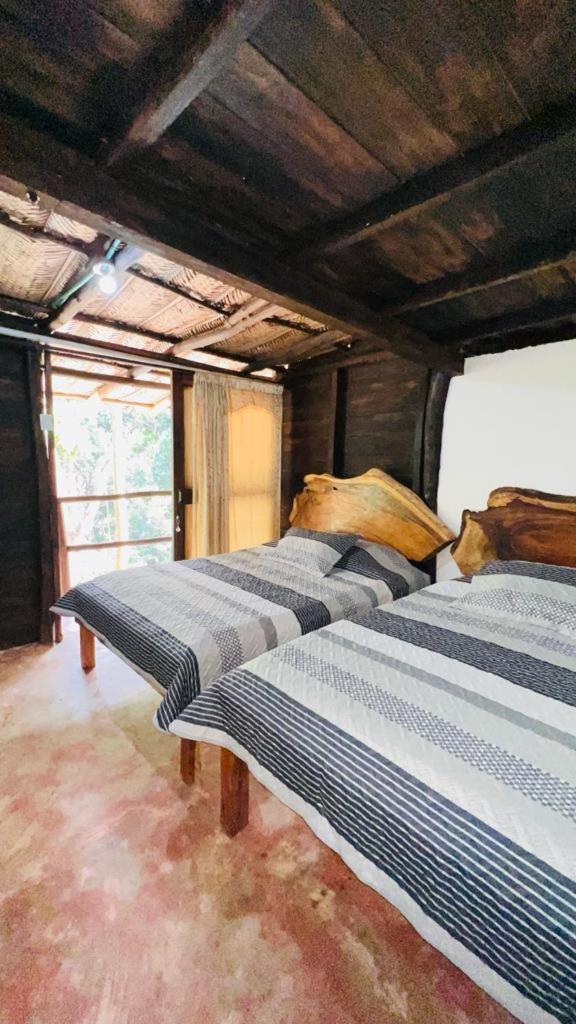 Minca Cabana La Roca サンタ・マルタ エクステリア 写真